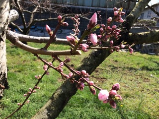 image-825eb.jpg